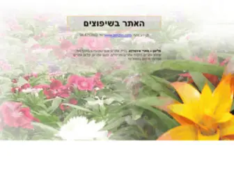 Peligon.ws(האתר) Screenshot