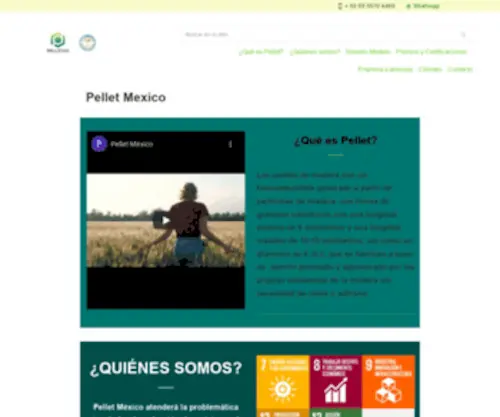 Pellet.mx(Pellet Mexico) Screenshot