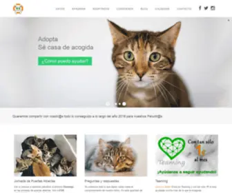 Peluditosenapuros.org(Adopta un Gato) Screenshot