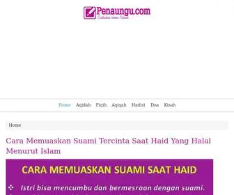 Penaungu.com(Blog islami) Screenshot