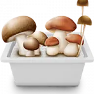 Penisenvymushroom.org Favicon