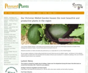 Pennardplants.com(Pennard Plants) Screenshot