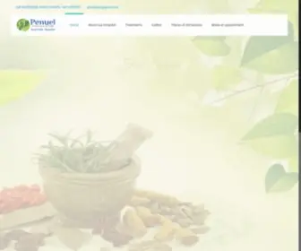 Penuelayurvedichospital.com(A New way of Life) Screenshot