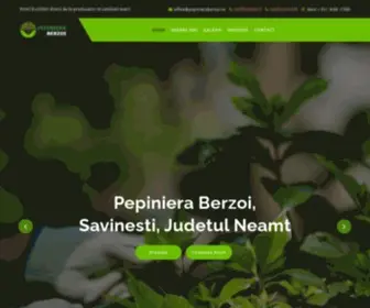 Pepinieraberzoi.ro(Pepiniera Berzoi) Screenshot