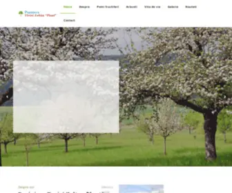 Pepinieratovisi.ro(Pepiniera Ciumbrud) Screenshot