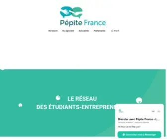 Pepite-France.fr(Le réseau des Étudiants Entrepreneurs) Screenshot