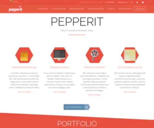 Pepperit.lt(PEPPERIT tikslas tai versle naudingi web sprendimai) Screenshot
