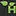 Pepperpotherbplants.co.uk Favicon
