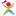 Peptideshealth.info Favicon