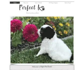 Perfectpawprints.com(Bernedoodles and Sheepadoodles) Screenshot