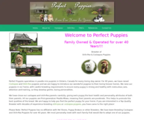 Perfectpuppies.ca(Poodle Mixes and Poodle Mix Puppies in Ontario) Screenshot