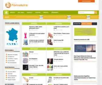 Perinat-France.org(Périnatalité en France) Screenshot