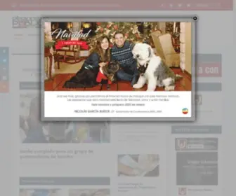 Periodismopublico.com(Noticias) Screenshot