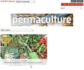 Permaculture.co.uk(DIY) Screenshot