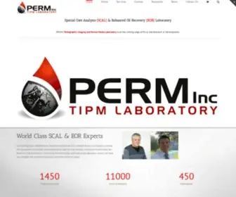 Perminc.com(PERM Inc) Screenshot