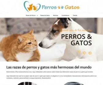 Perrosgatosonline.com(Las razas de perros y gatos más hermosas del mundo ⋆ Historia) Screenshot