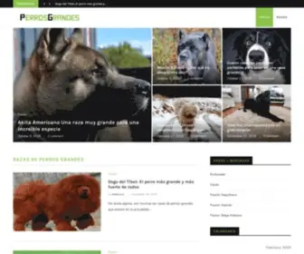 Perrosgrandes.info(Blog dedicado a los caninos) Screenshot