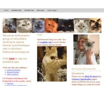 Persiancats.org(Persian & Himalayan Cat Rescue) Screenshot