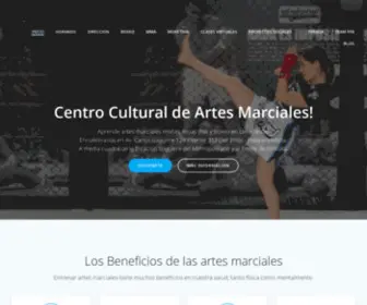 Perufightacademy.net(Boxeo) Screenshot