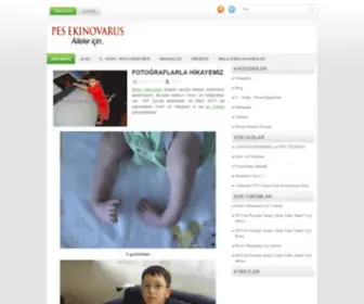 Pesekinovarus.org(Pes Ekinovarus) Screenshot