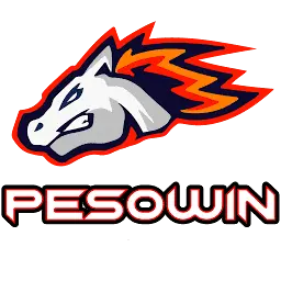 Pesowin.site Favicon