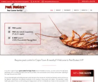 Pestbusterswp.co.za(Professional Pest Control Cape Town) Screenshot