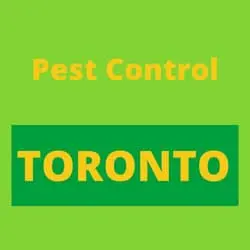 Pestcontroltoronto.com Favicon