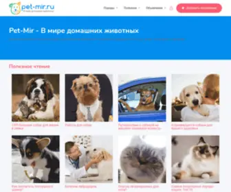 Pet-Mir.ru(Pet Mir) Screenshot