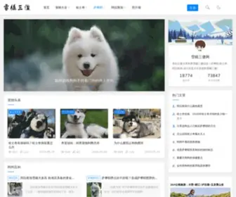 Pet250.com(雪橇三傻) Screenshot