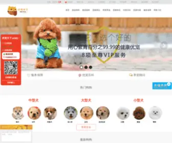 Pet52.com(优宠天下（PET52）) Screenshot