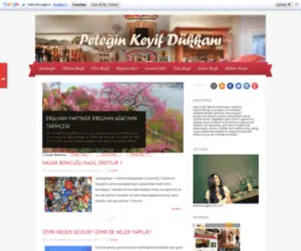 Peteginkeyifdukkani.com(PETEĞİN) Screenshot