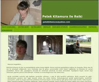 Petekkitamura.com(Reiki Turkiye Istanbul) Screenshot