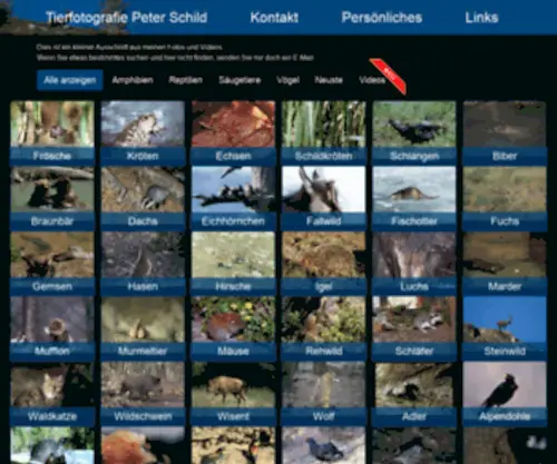 Peter-Schild.ch(Tierfotografie Peter Schild) Screenshot