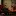 Peterkemp.nl Favicon