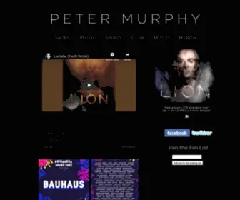Petermurphy.info(Peter Murphy Official Site) Screenshot