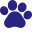 Petestrain.com Favicon