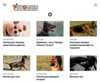 Petguru.ru(Интернет) Screenshot