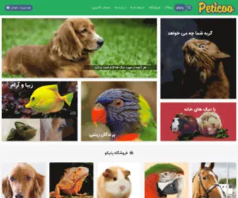 Peticoo.com(Peticoo) Screenshot