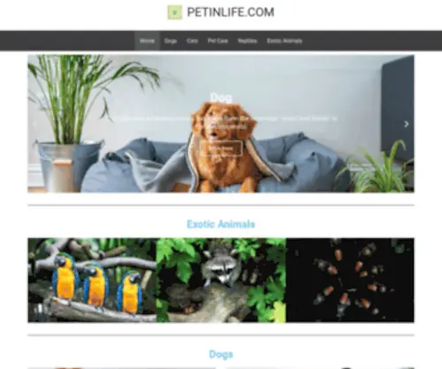 Petinlife.com(Petinlife) Screenshot