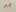 Petiteamoolyam.com Favicon