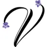 Petitevioletterestaurant.com Favicon