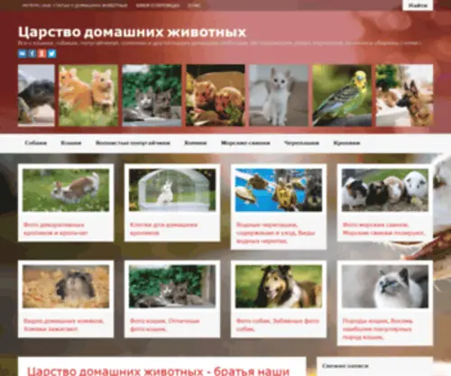 Petkingdom.ru(Царство домашних животных) Screenshot