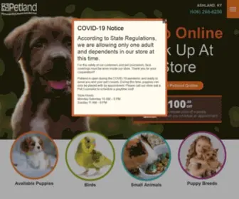 Petlandashland.com(Petland Ashland) Screenshot