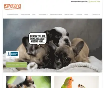 Petlandpickerington.com(Petland Pickerington) Screenshot