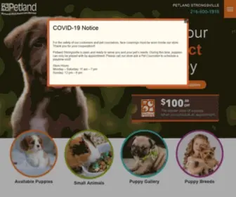 Petlandstrongsville.com(Petland Strongsville) Screenshot