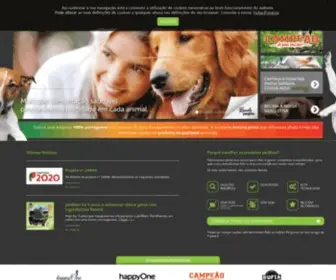 Petmaxi.pt(Alimentos secos para cães) Screenshot