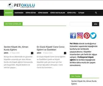 Petokulu.net(En İyi Köpek Eğitimi Merkezi İstanbul) Screenshot