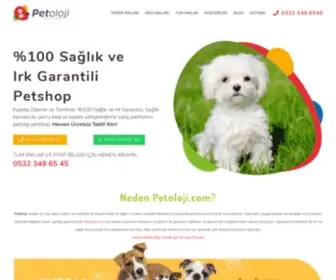 Petoloji.com(Petoloji Petshop Kocaeli: Yavru Köpek) Screenshot