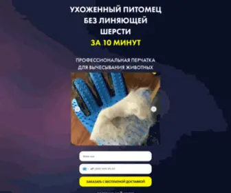 Petomets.ru(Domain has been assigned) Screenshot