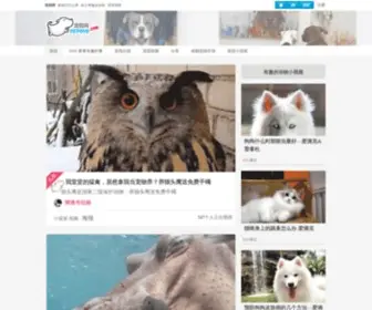 Petovo.com(宠我网) Screenshot